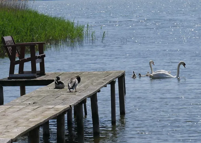Floating - Schwimmende - Haus 3 Kröslin